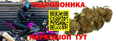 эйфоретик Краснодар