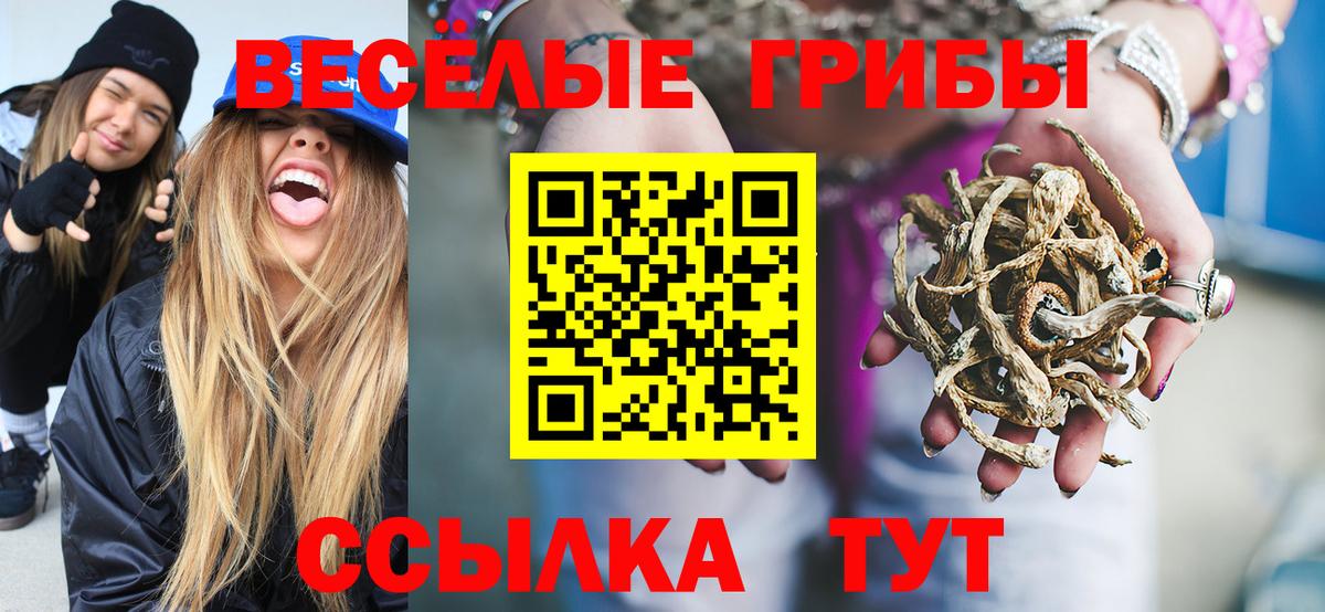 Псилоцибиновые грибы MAGIC MUSHROOMS Иваново