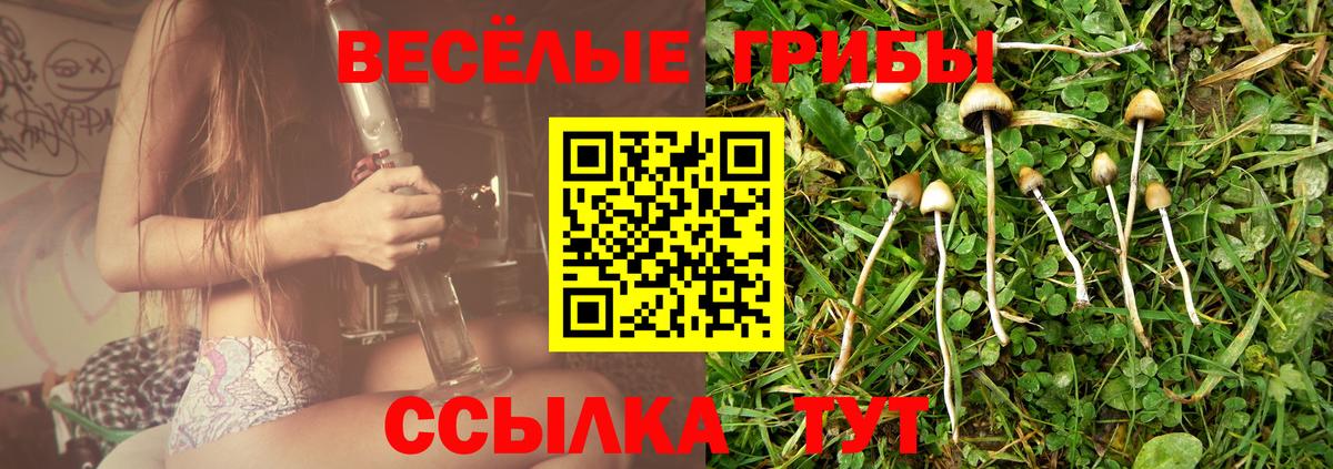 Иваново  Псилоцибиновые грибы прущие грибы  что такое наркотик  Вход с VPN 
